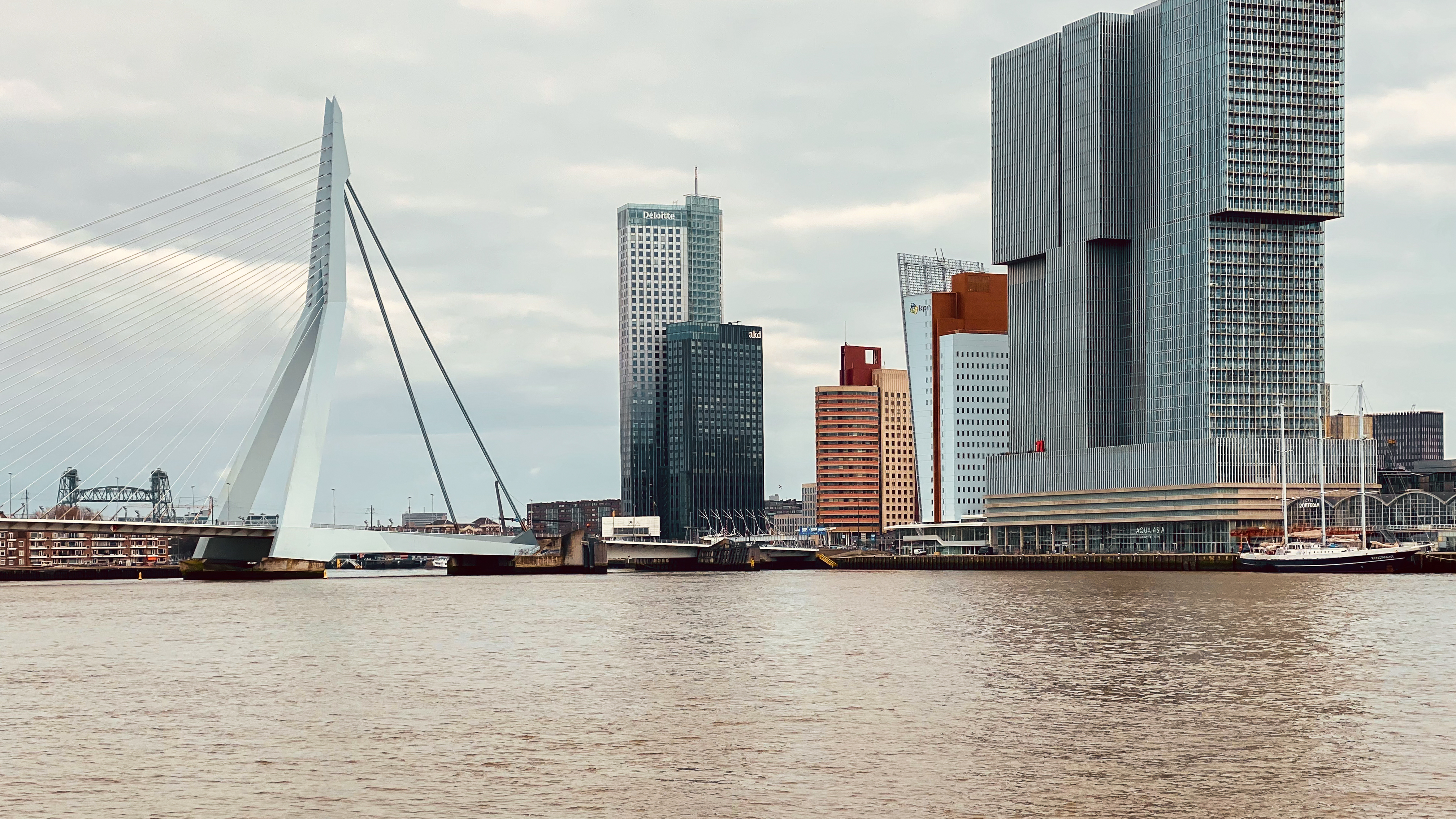 Rotterdam skyline