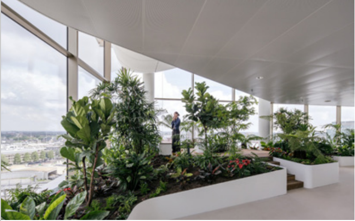 Image of green plant filled interior 