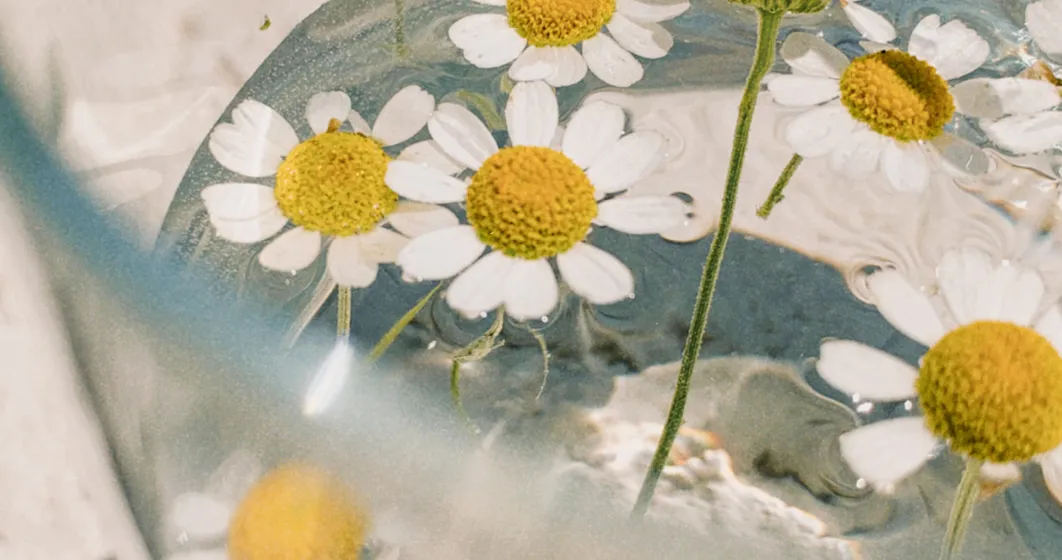 water flowers