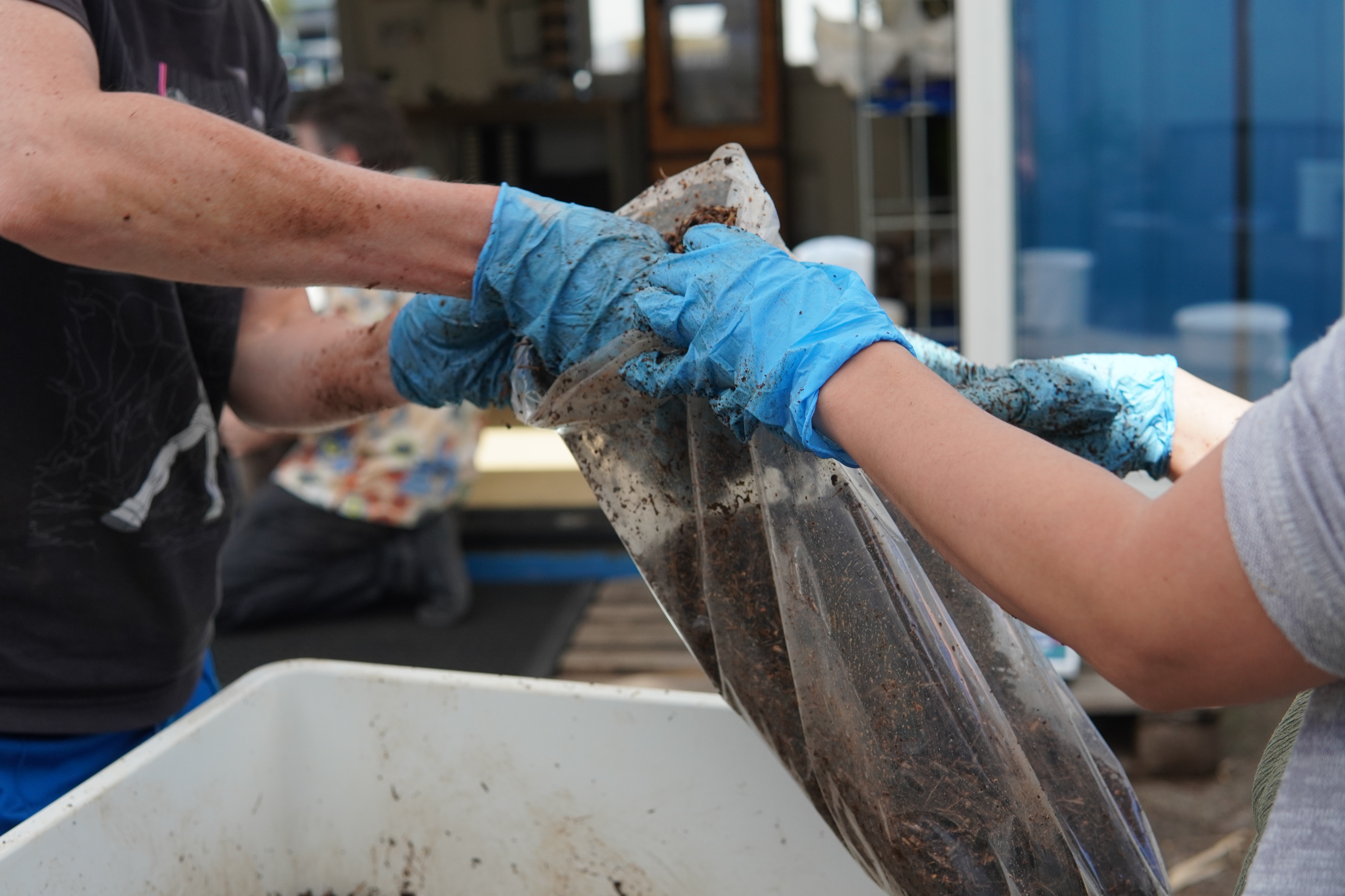 rotterzwam workshop 01