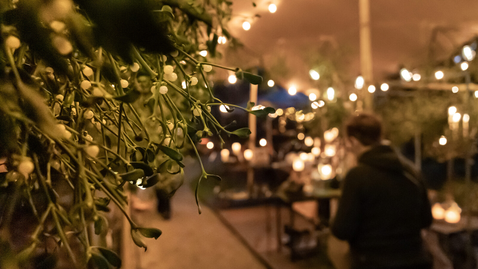 rotterdamchristmasmarketguide20252