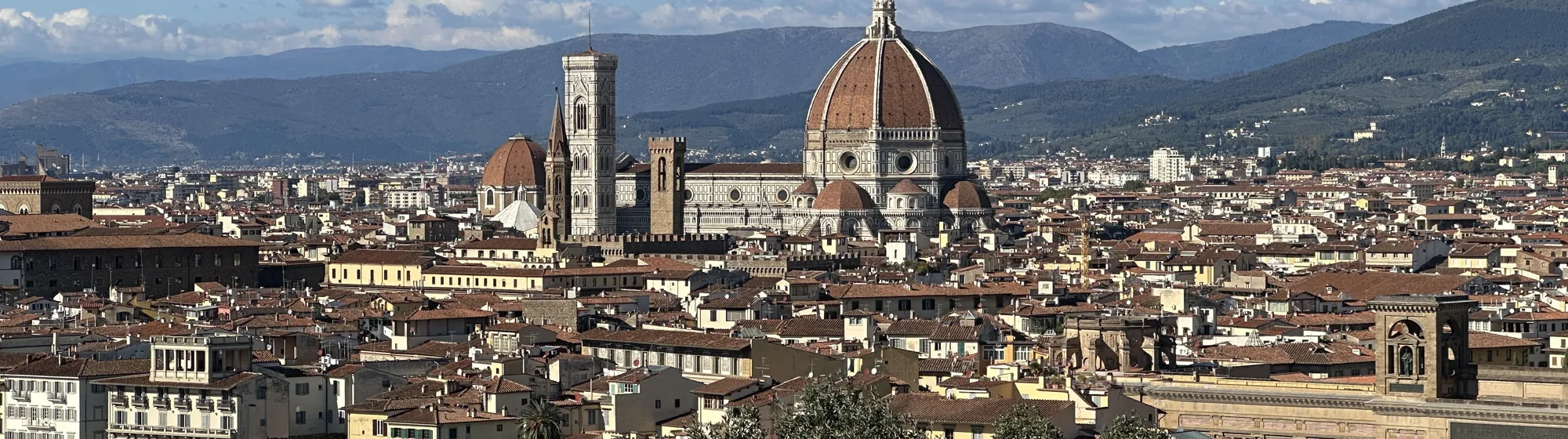 Florence Skyline Florence Skyline