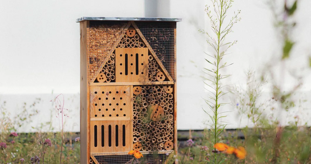 green roof insect hotel