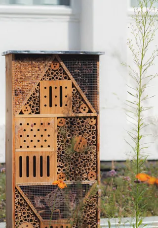 green roof insect hotel