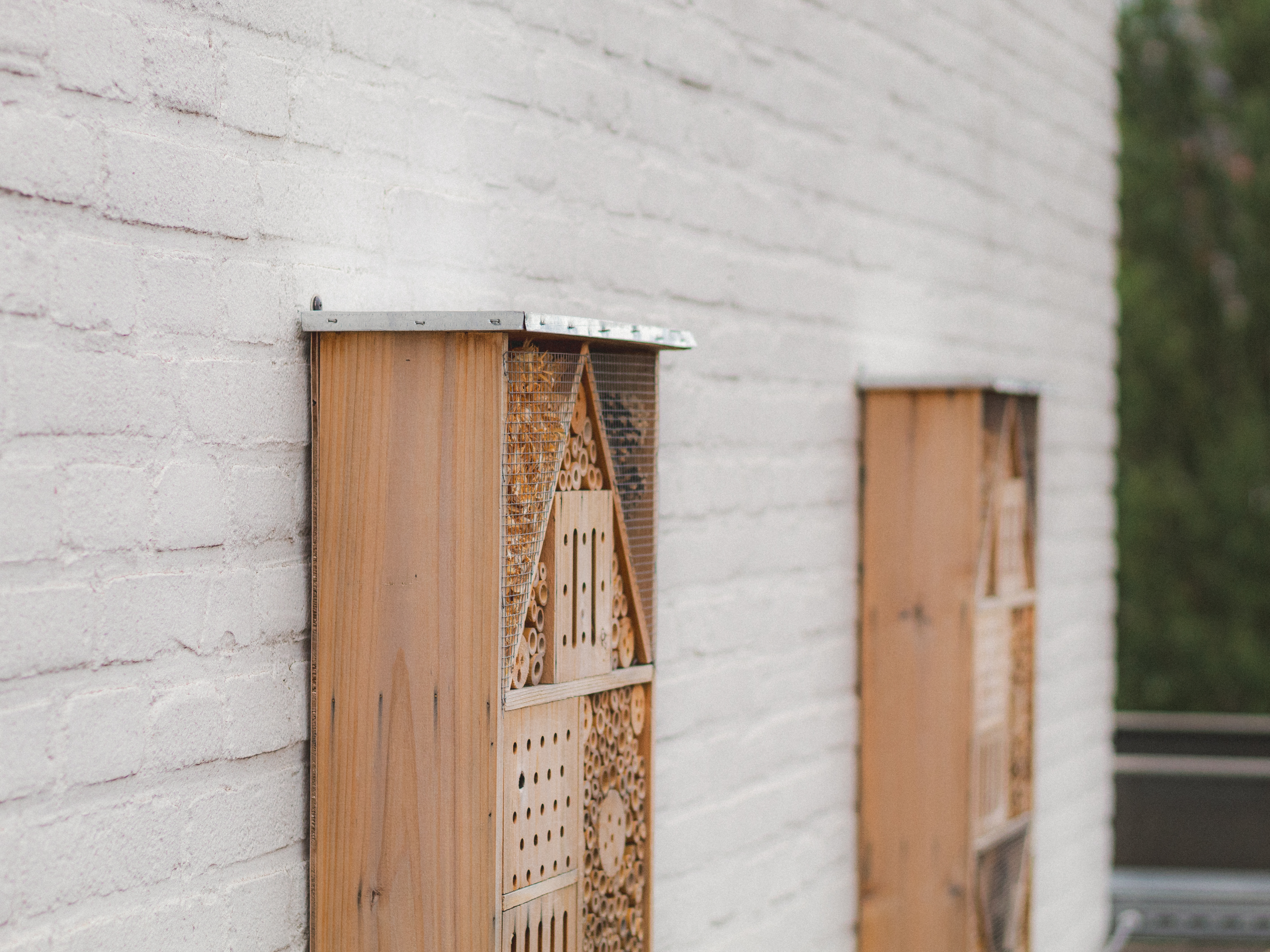 green roof insect hotels