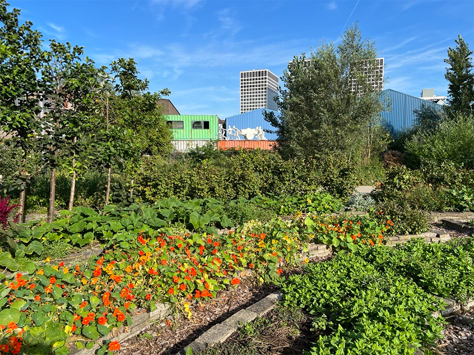 voedseltuin rotterdam