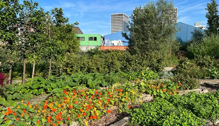 voedseltuin rotterdam