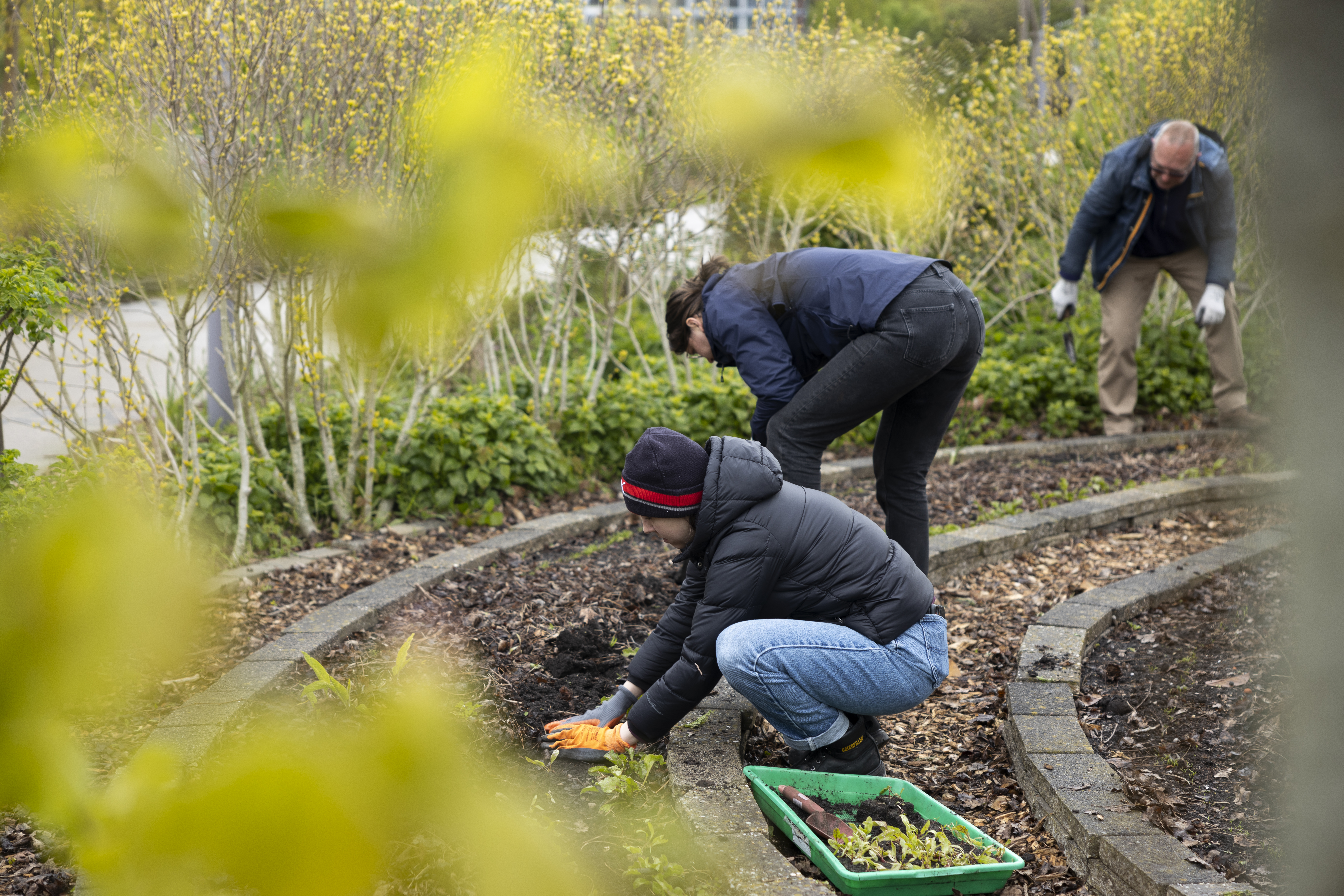 reimagning hospitalityvoedseltuin and giselaflorine van rees
