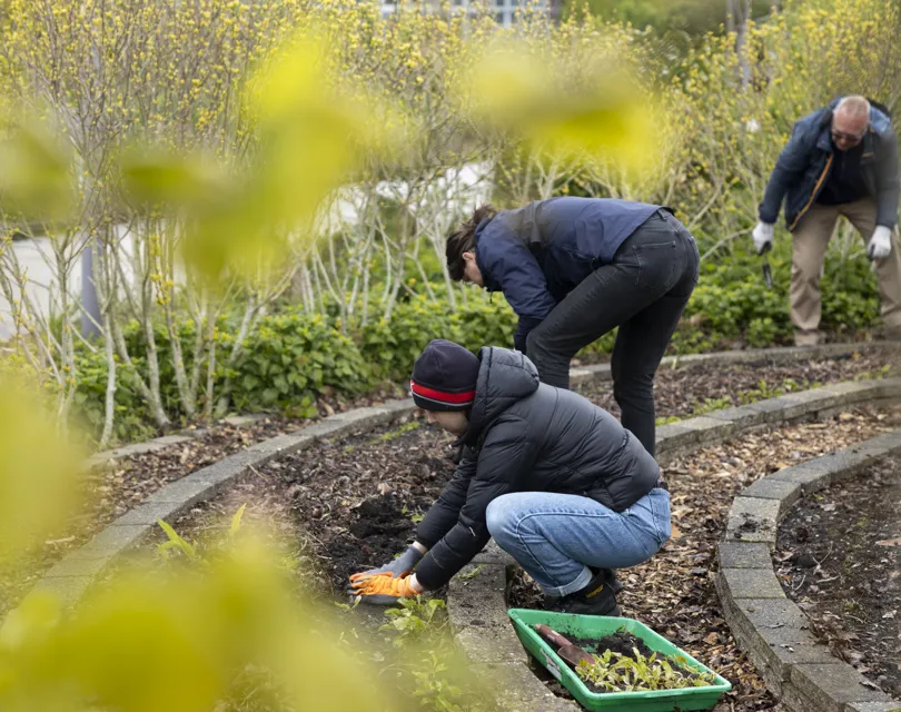 reimagning hospitalityvoedseltuin and giselaflorine van rees
