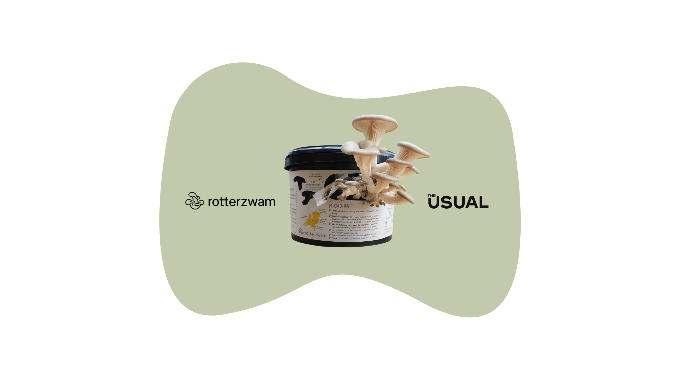 rotterzwamtheusual2025