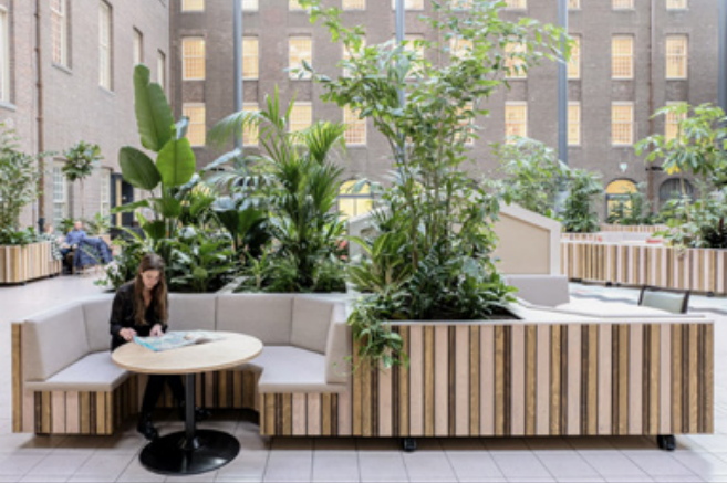 Indoor public space with seating and plants