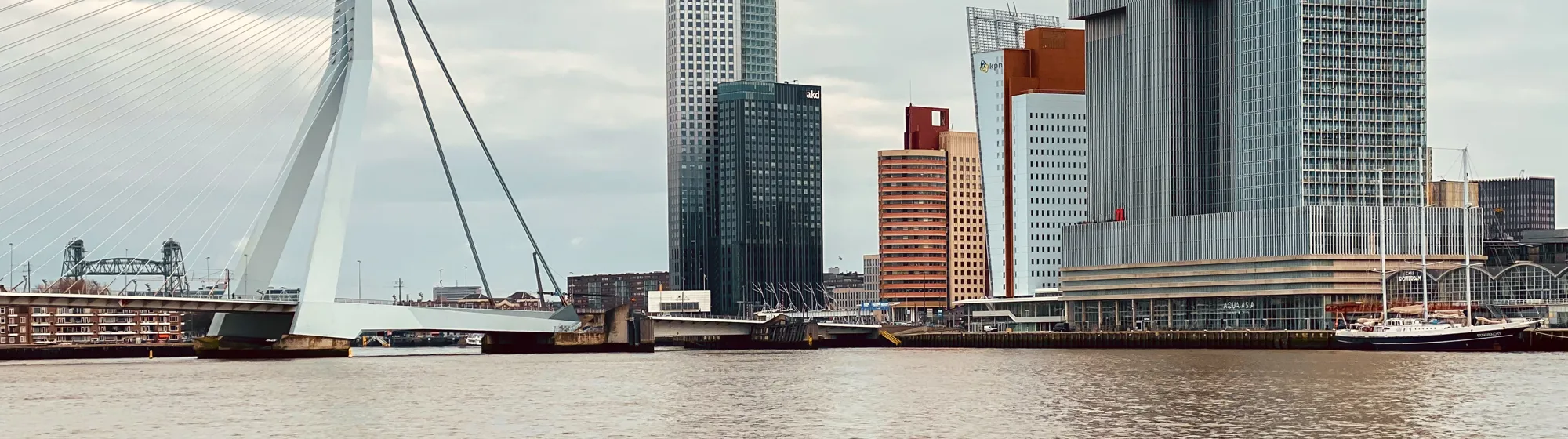 Rotterdam skyline Rotterdam skyline