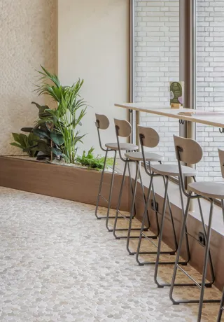 2024materdesignwvssmall